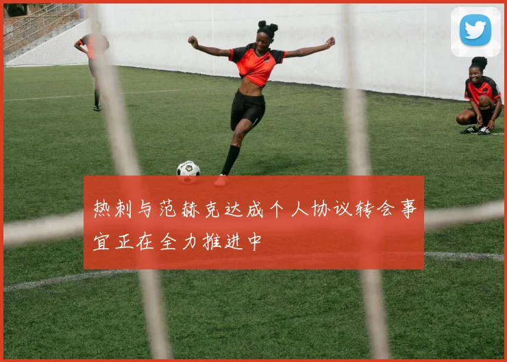 热刺与范赫克达成个人协议转会事宜正在全力推进中